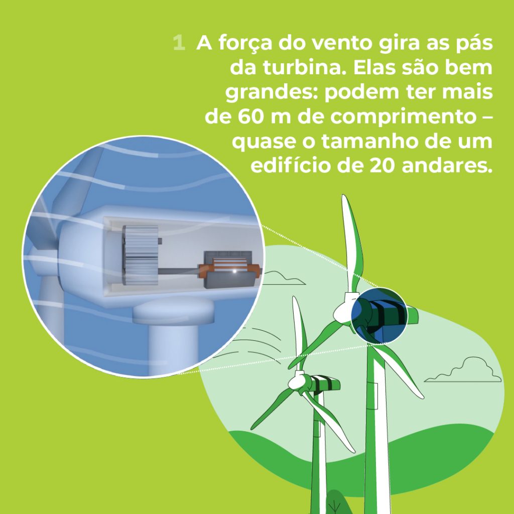 Dia Mundial do Vento - Alian&ccedil;a Energia