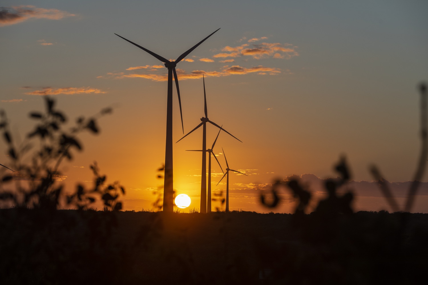 Complexo E&oacute;lico Santo In&aacute;cio (Cesi) e Central E&oacute;lica Gravier - Alian&ccedil;a Energia