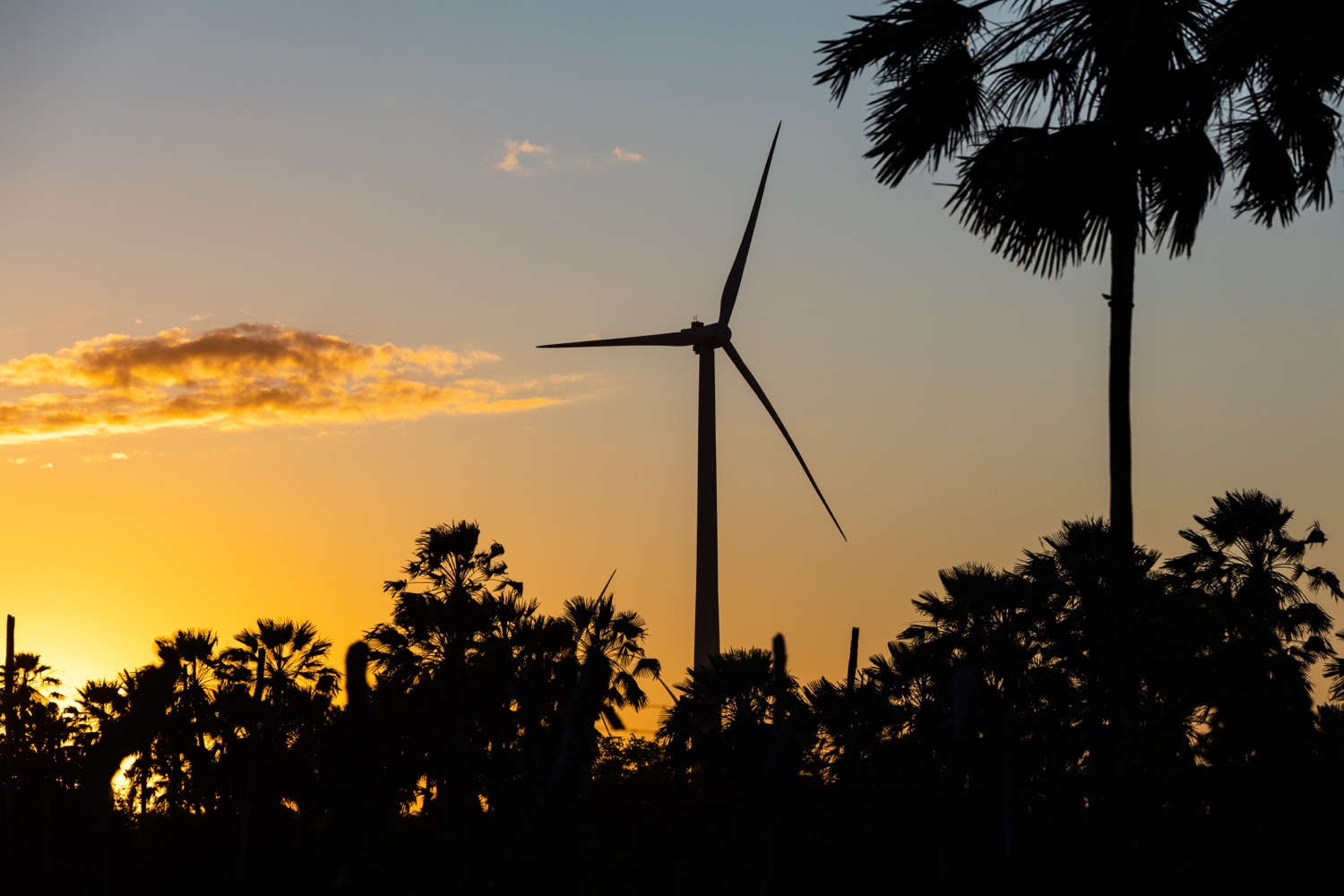 Complexo E&oacute;lico Santo In&aacute;cio (Cesi) e Central E&oacute;lica Gravier - Alian&ccedil;a Energia