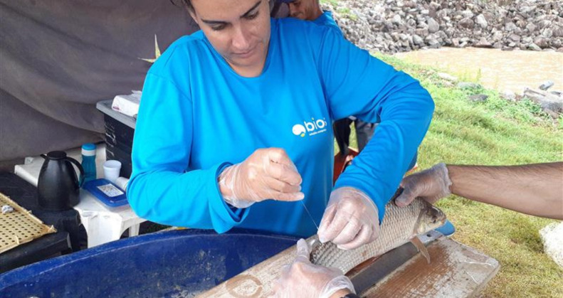 Campanha Pescadores UHE Funil - Alian&ccedil;a Energia