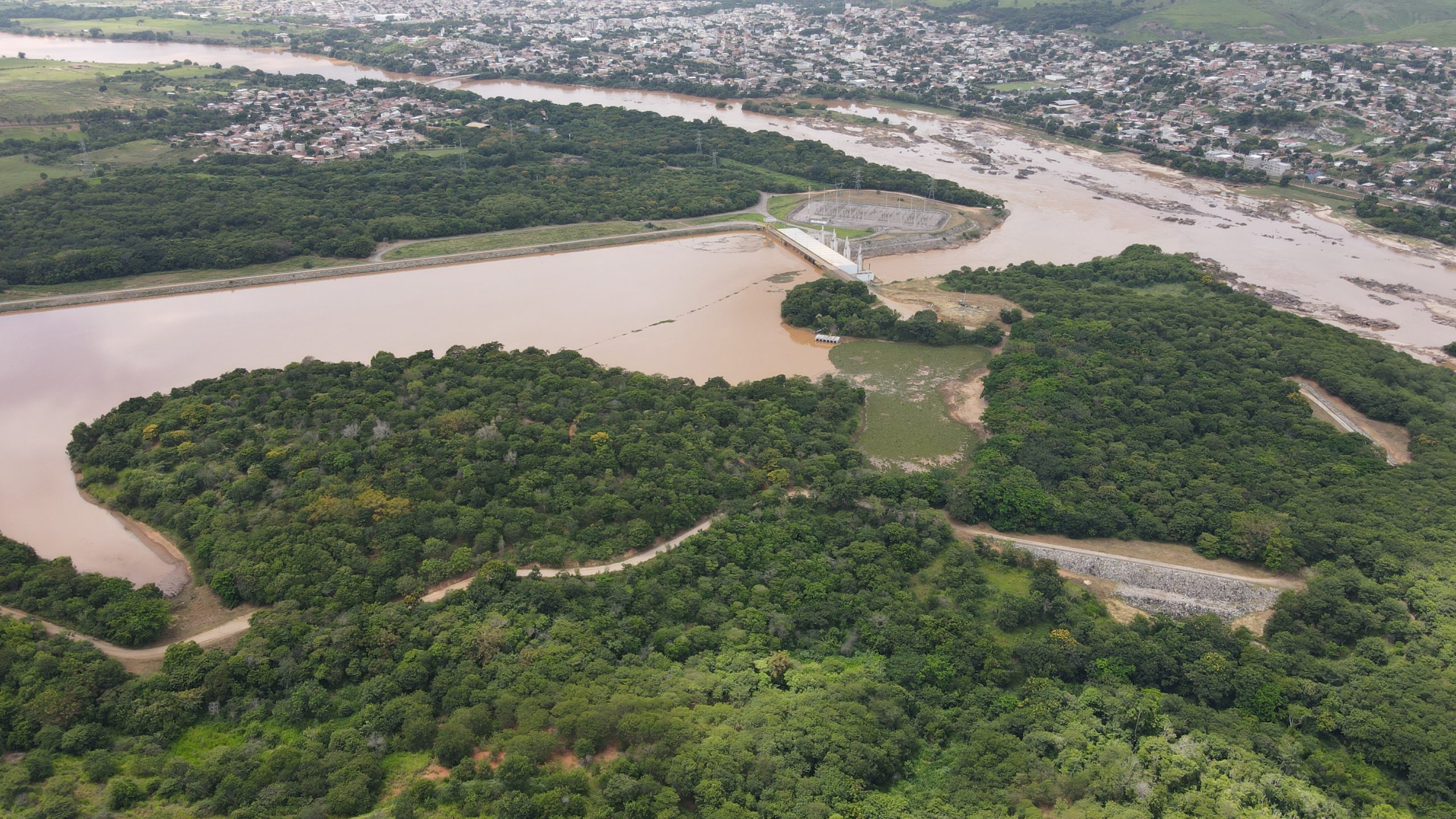 Dia Mundial do Meio Ambiente - Alian&ccedil;a Energia