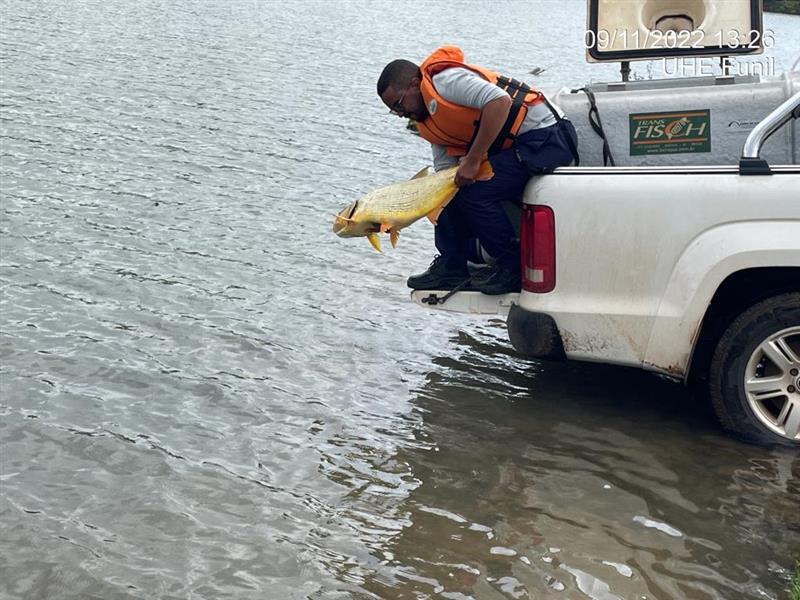 Campanha Pescadores UHE Funil - Alian&ccedil;a Energia