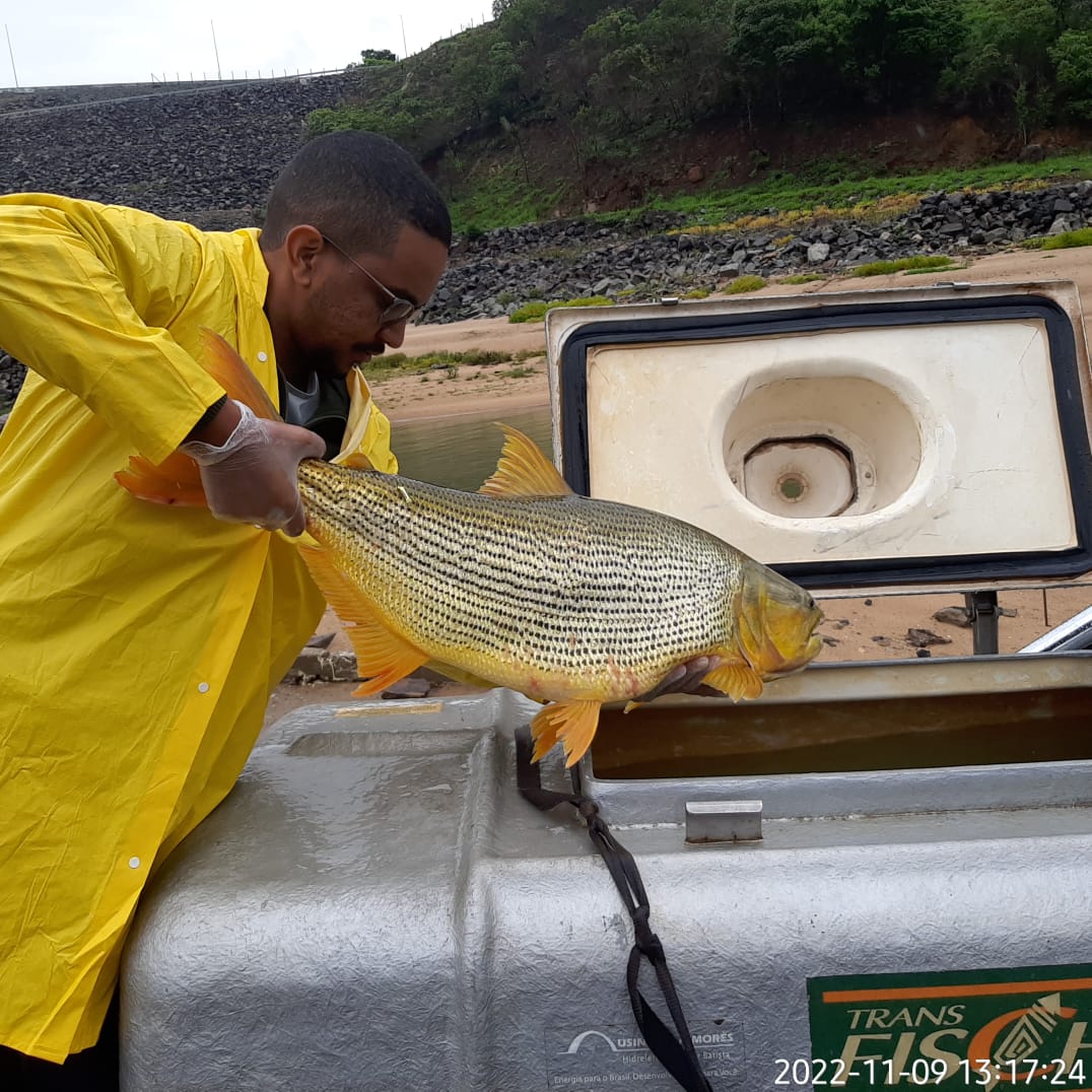 Campanha Pescadores UHE Funil - Alian&ccedil;a Energia