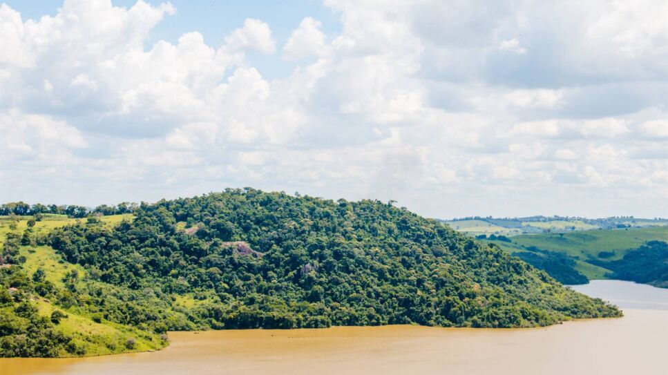 Reserva Particular do Patrimônio Natural - RPPN - Mata do Tetê, região da UHE Funil