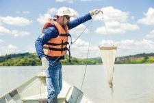Monitoramentos Ambientais - Alian&ccedil;a Energia