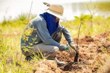 Monitoramentos Ambientais - Alian&ccedil;a Energia